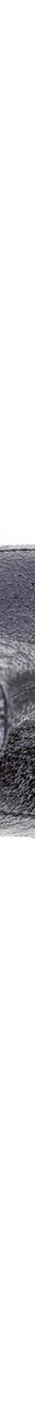 Boots à talon DANIELA (bleu) Boots à talon DANIELA (bleu)